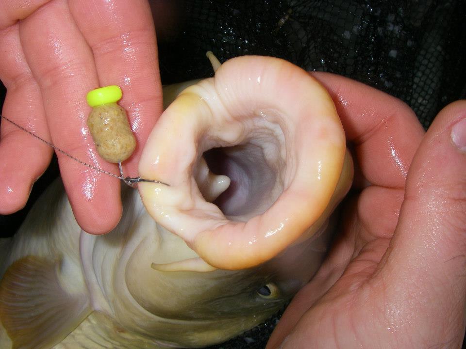 pe la balti - gura.jpg